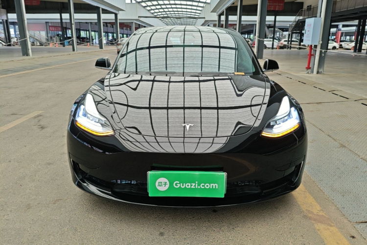 Tesla Model 3 2020 car image #3