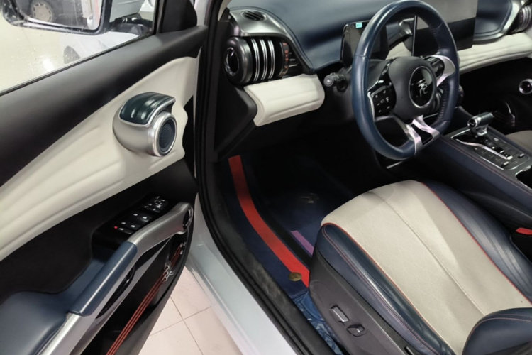 BYD Yuan Plus 2022 #16 BYD Yuan Plus 2022 immagine di auto #16