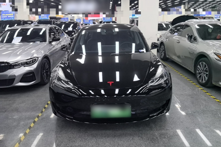 Tesla Model 3 2021 #3 Tesla Model 3 2021 car image #3