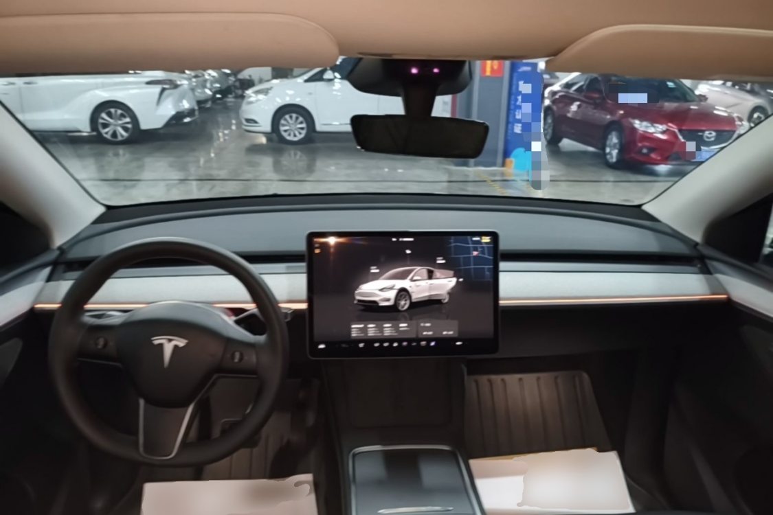 Tesla Model Y 2024 car image #10