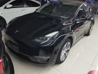 Tesla Model Y 2021 car image 
