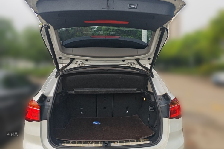 BMW X1 2017 #21 BMW X1 2017 immagine di auto #21