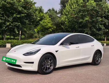 Tesla Model 3 2020 Tesla Model 3 2020 car image