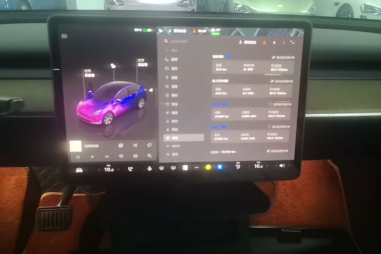 Tesla Model Y 2022 #13 Tesla Model Y 2022 car image #13