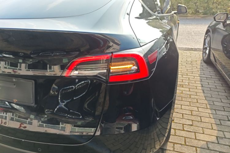 Tesla Model Y 2021 #8 Tesla Model Y 2021 car image #8