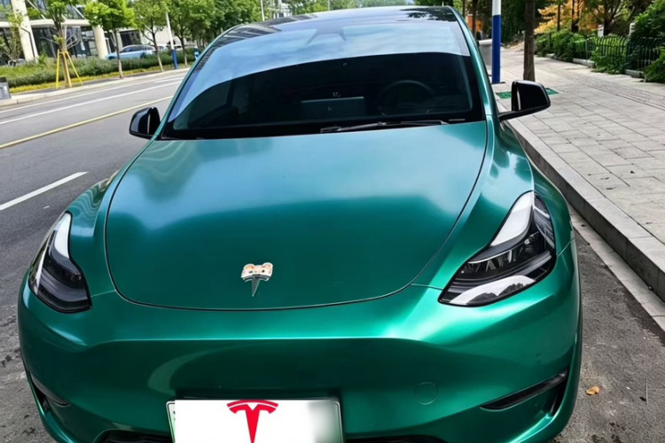 Tesla Model Y 2021 car image #4