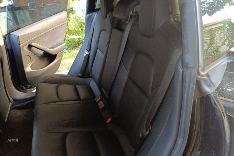 Tesla Model 3 2021 car image #19