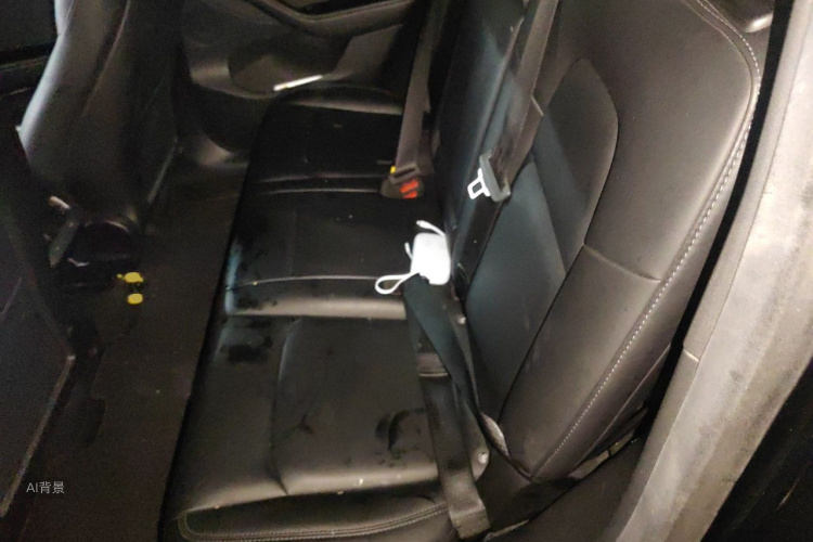 Tesla Model Y 2022 #19 Tesla Model Y 2022 car image #19