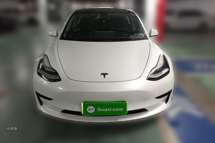 Tesla Model 3 2020 imagem de carro #3