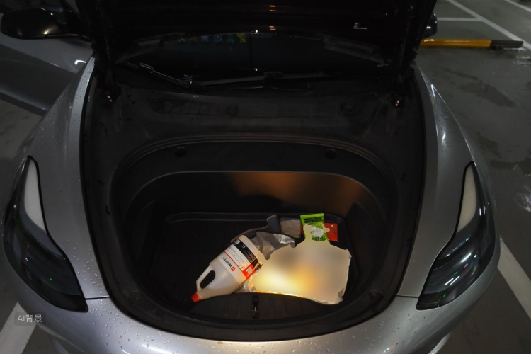 Tesla Model 3 2023 car image #22