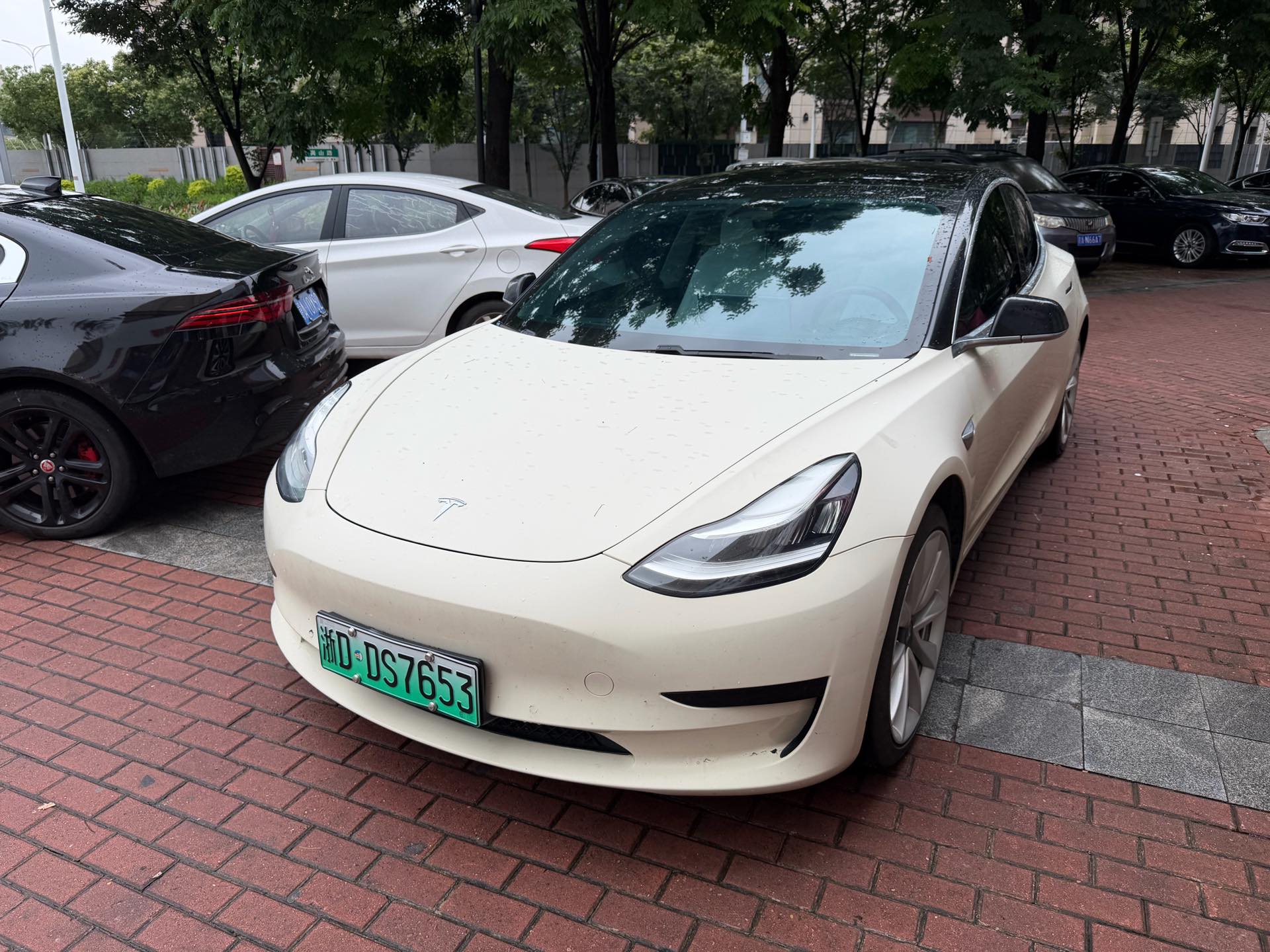 Tesla Model 3 2021 car image 