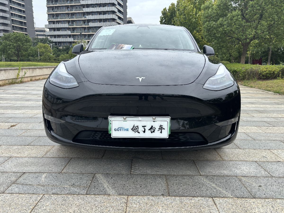 Tesla Model Y 2021 car image #2