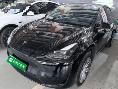Tesla Model Y 2023 Tesla Model Y 2023 صورة سيارة