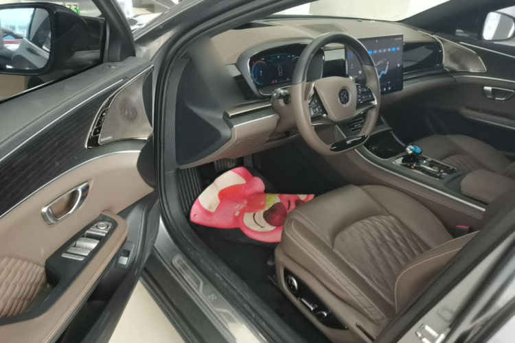 BYD Han 2022 #12 BYD Han 2022 immagine di auto #12