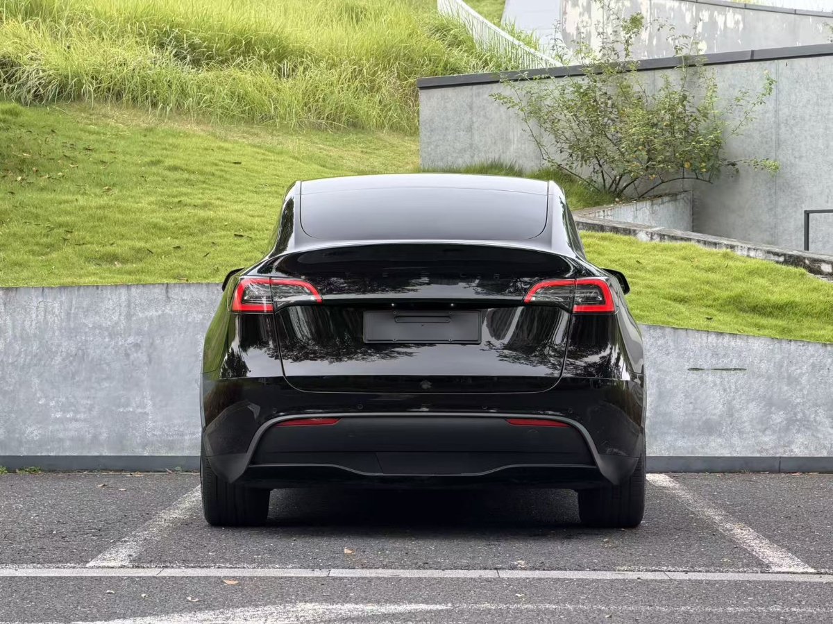 Tesla Model Y 2022 car image #6