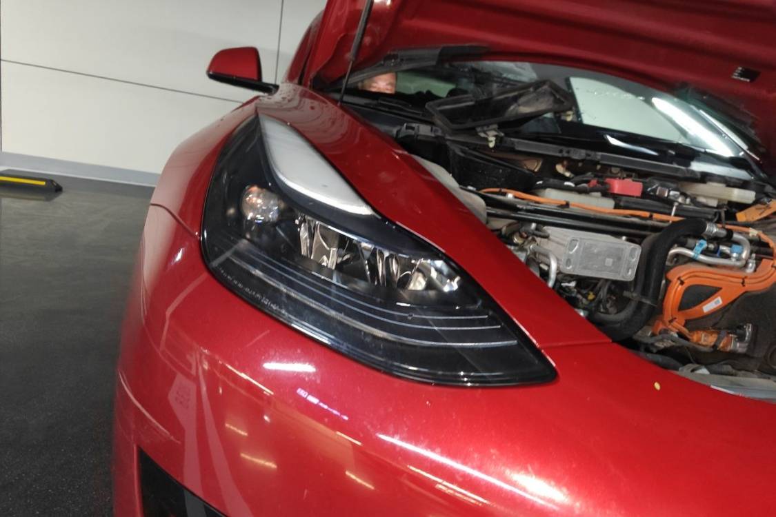 Tesla Model 3 2021 #7 Tesla Model 3 2021 car image #7