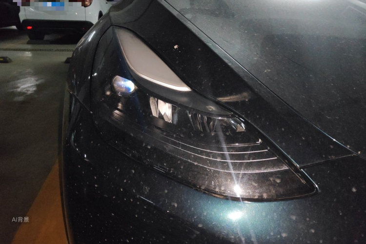 Tesla Model Y 2024 car image #8