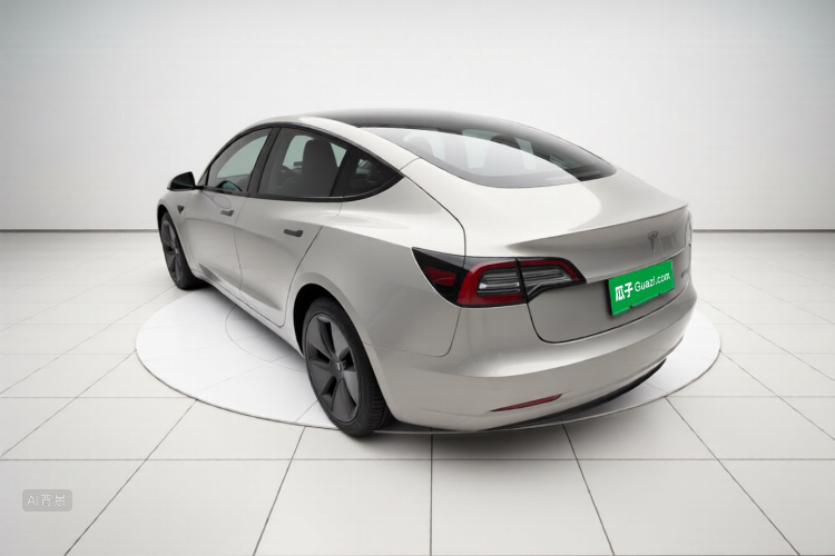 Tesla Model 3 2021 car image #5