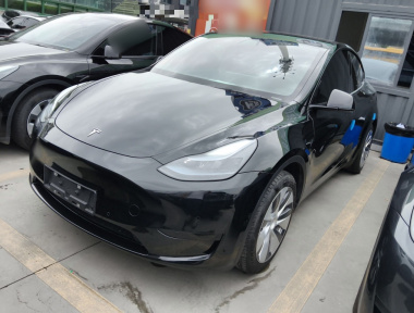 Tesla Model Y 2023 Tesla Model Y 2023 car image