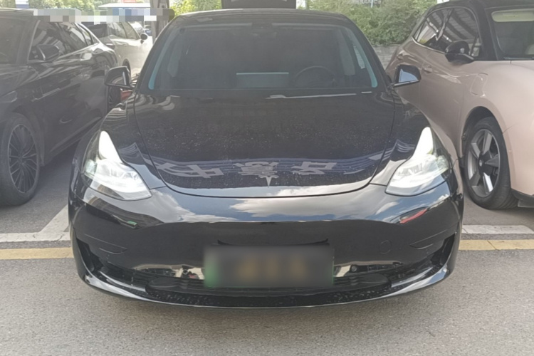 Tesla Model 3 2021 car image #3