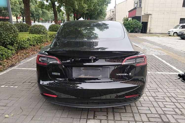 Tesla Model 3 2021 #6 Tesla Model 3 2021 car image #6