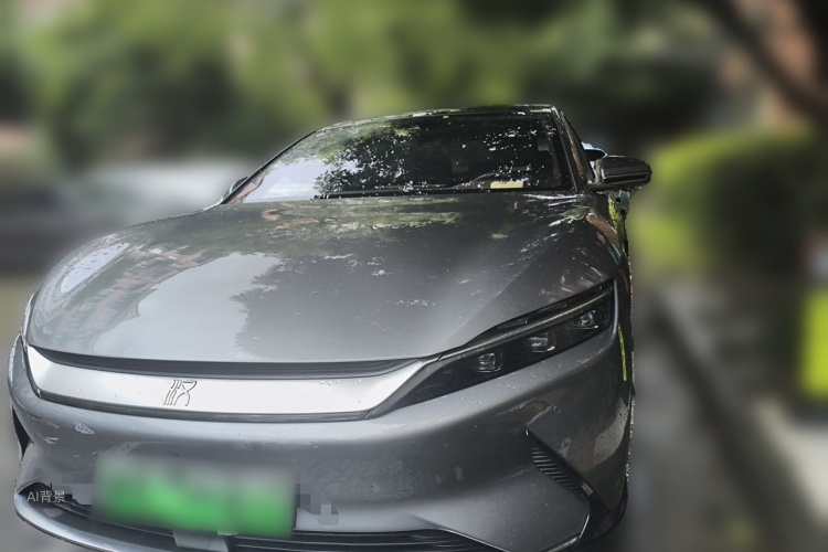 BYD Han 2021 #3 BYD Han 2021 immagine di auto #3