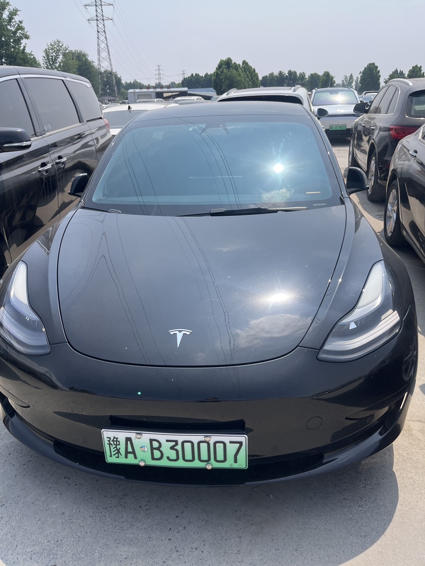 Tesla Model 3 2021 Tesla Model 3 2021 car image