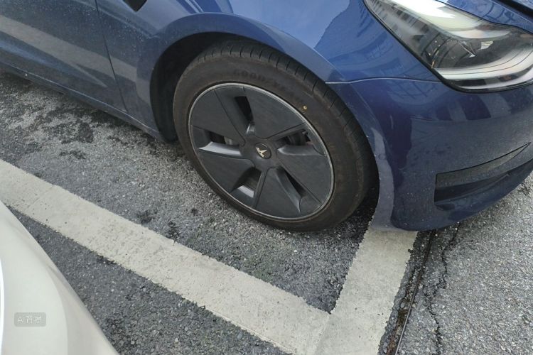 Tesla Model 3 2021 car image #9