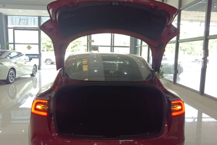 Tesla Model 3 2020 immagine di auto #19