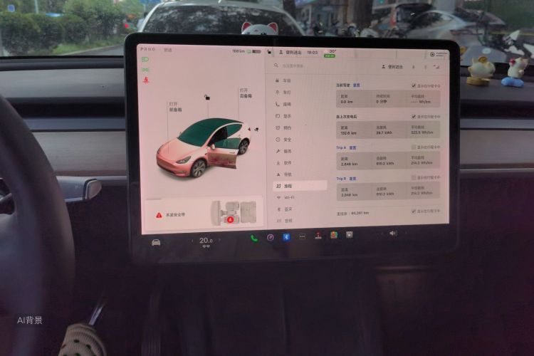 Tesla Model Y 2021 #15 Tesla Model Y 2021 car image #15