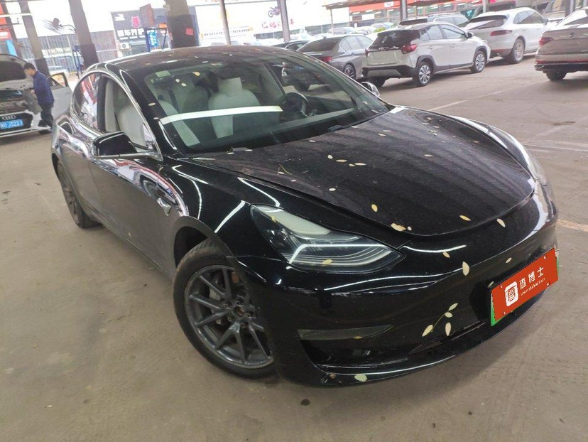 Tesla Model 3 (Imported) 2020 car image #2