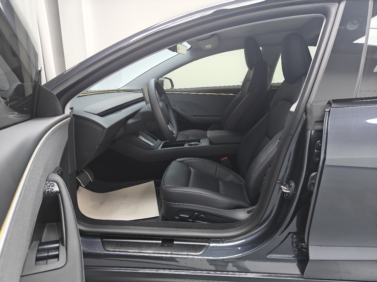 Tesla Model 3 2024 #9 Tesla Model 3 2024 car image #9