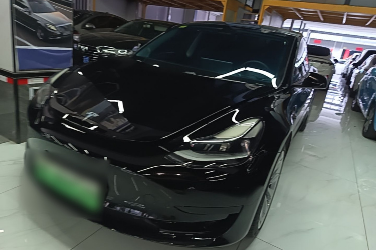 Tesla Model 3 2021 car image #2