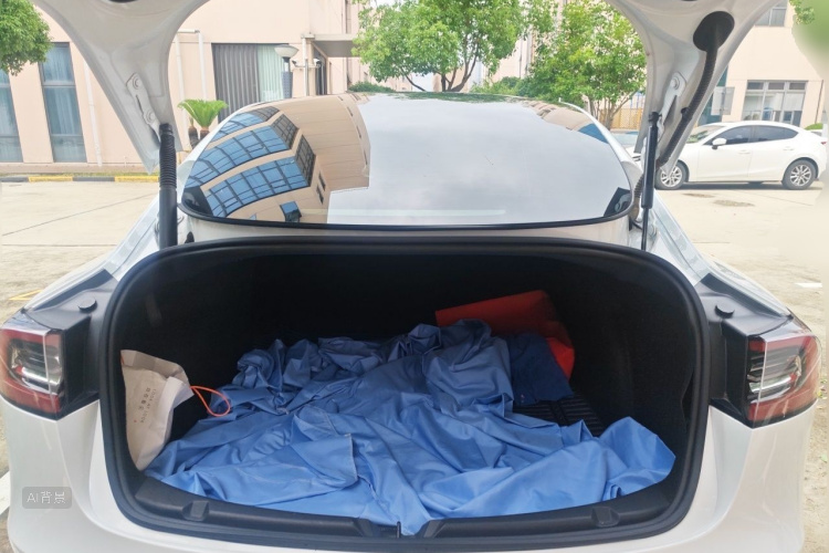 Tesla Model 3 2021 car image #21