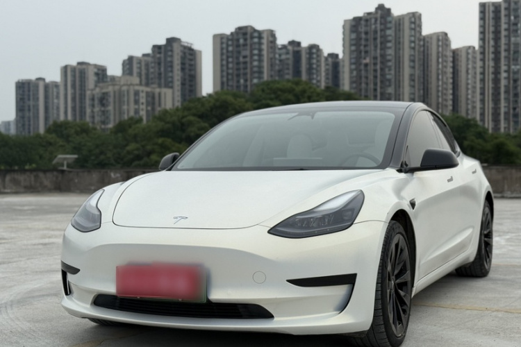 Tesla Model 3 2021 car image #2