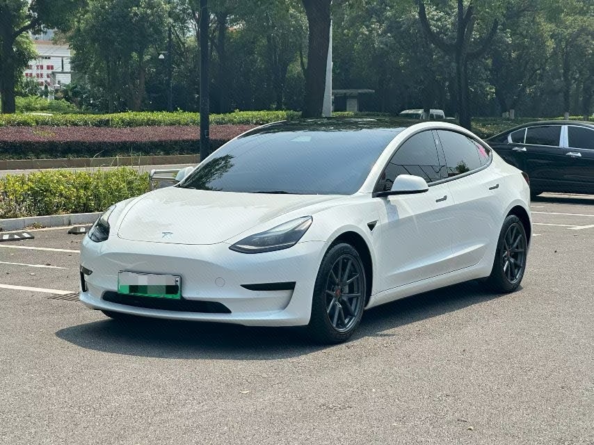 Tesla Model 3 2021 Tesla Model 3 2021 car image