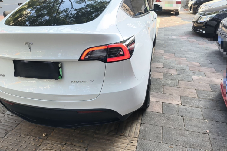 Tesla Model Y 2022 #8 Tesla Model Y 2022 car image #8