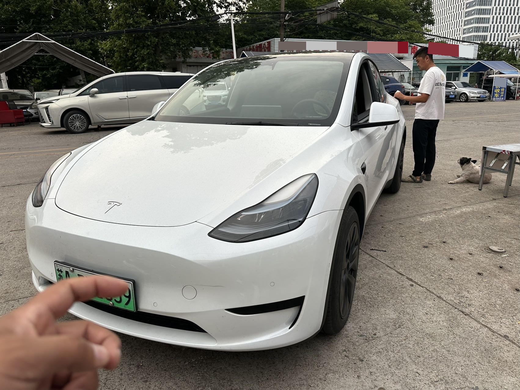 Tesla Model Y 2023 car image 