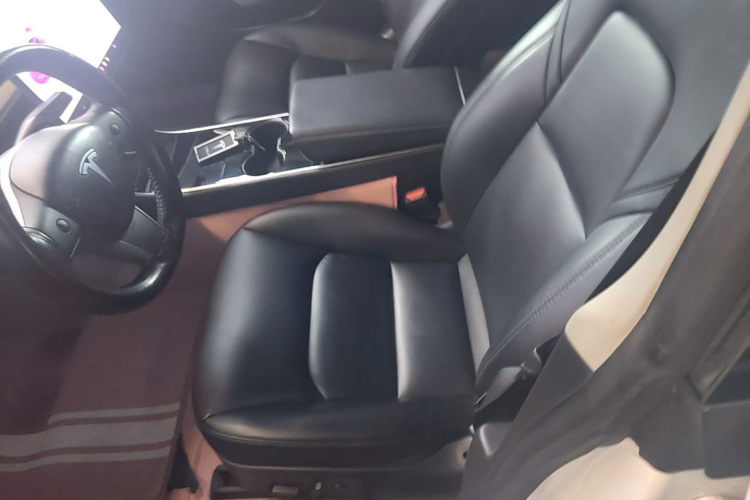 Tesla Model 3 2020 car image #16