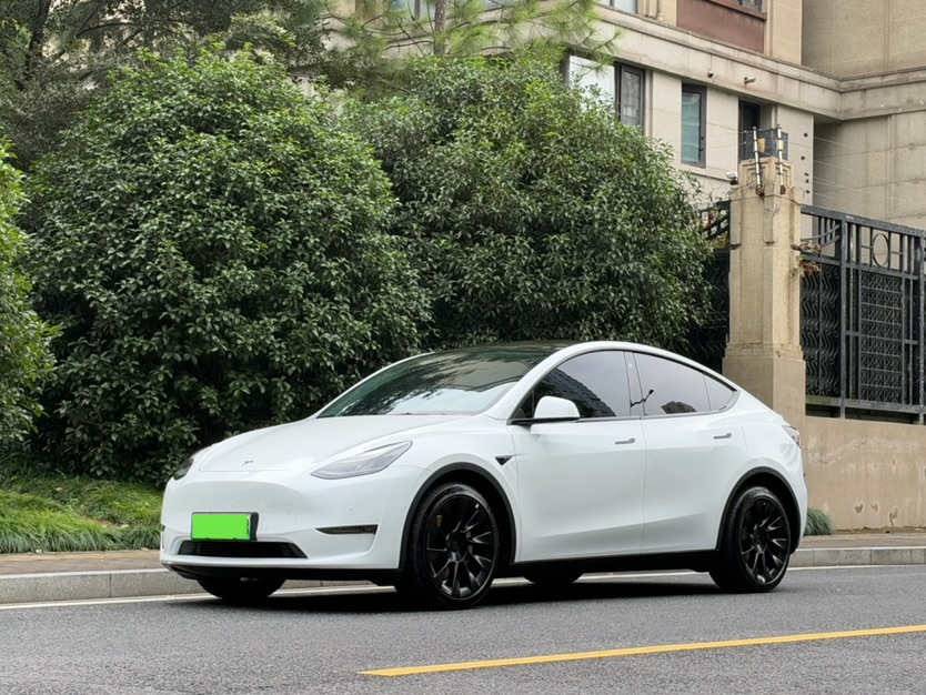 Tesla Model Y 2021 Tesla Model Y 2021 car image