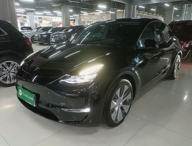 Tesla Model Y 2021 Tesla Model Y 2021 car image