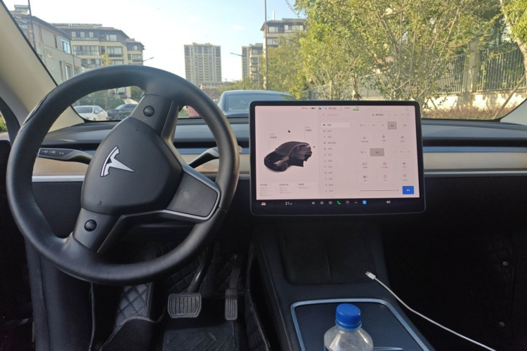 Tesla Model Y 2021 car image #12