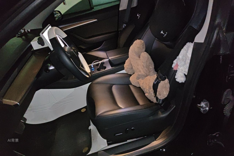 Tesla Model 3 2023 #17 Tesla Model 3 2023 car image #17