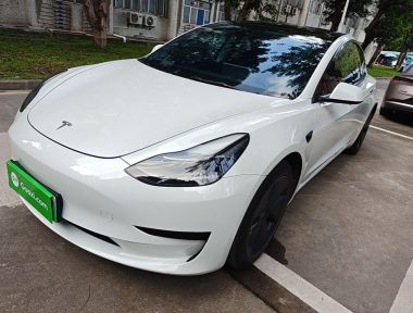 Tesla Model 3 2021 Tesla Model 3 2021 car image