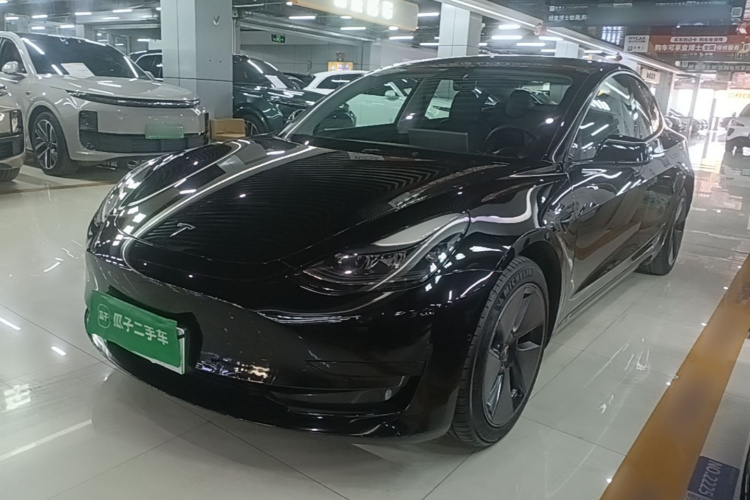 Tesla Model 3 2022 #2 Tesla Model 3 2022 car image #2