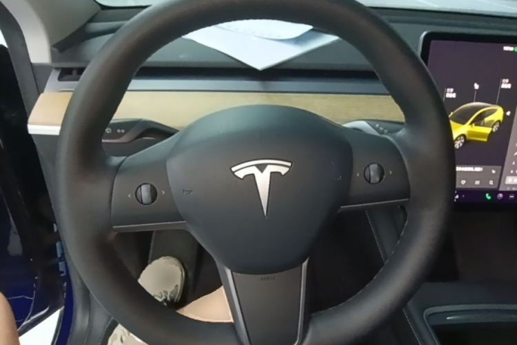 Tesla Model Y 2021 #11 Tesla Model Y 2021 car image #11