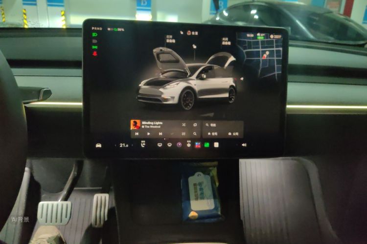 Tesla Model Y 2022 #15 Tesla Model Y 2022 car image #15