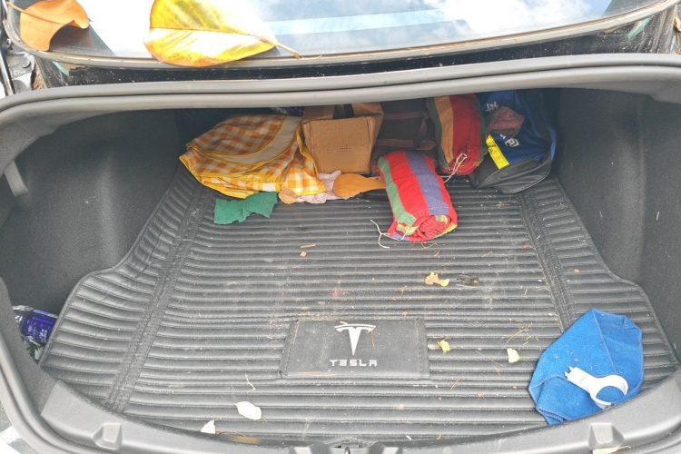 Tesla Model 3 2020 car image #21