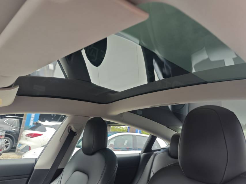Tesla Model 3 2021 car image #13