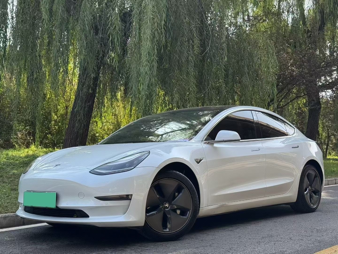 Tesla Model 3 2020 Tesla Model 3 2020 car image